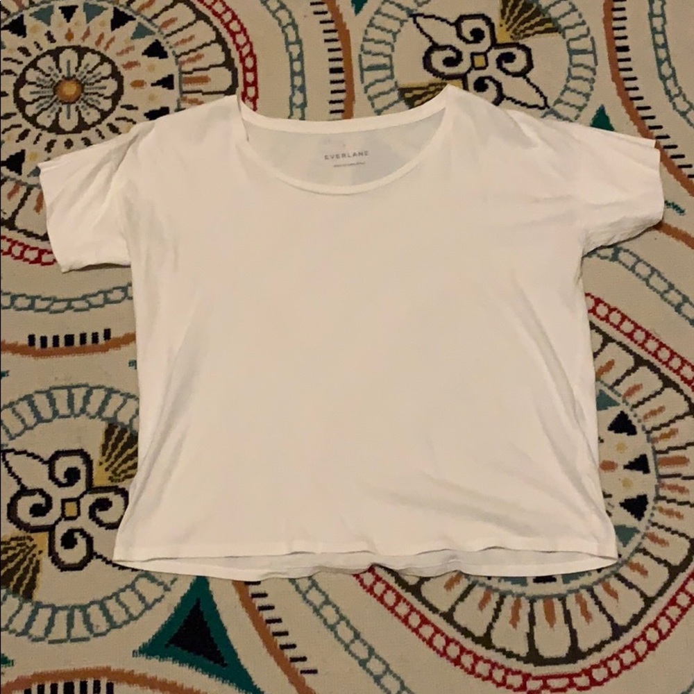 NWOT Everlane White Tee